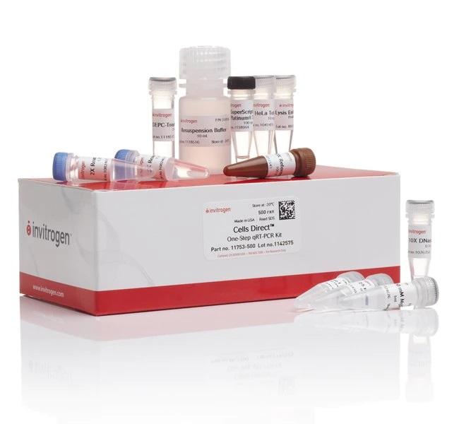 Invitrogen™ CellsDirect™ One-Step qRT-PCR Kit, 500 Reactions