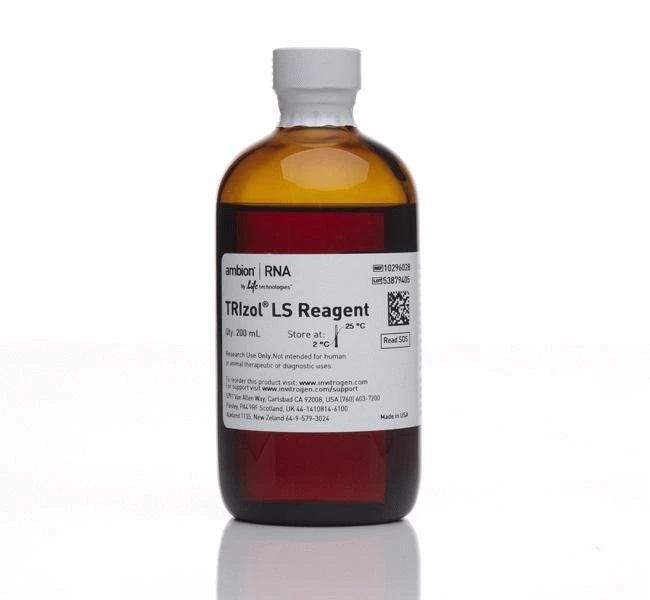 Invitrogen™ TRIzol™ LS Reagent, 200 mL