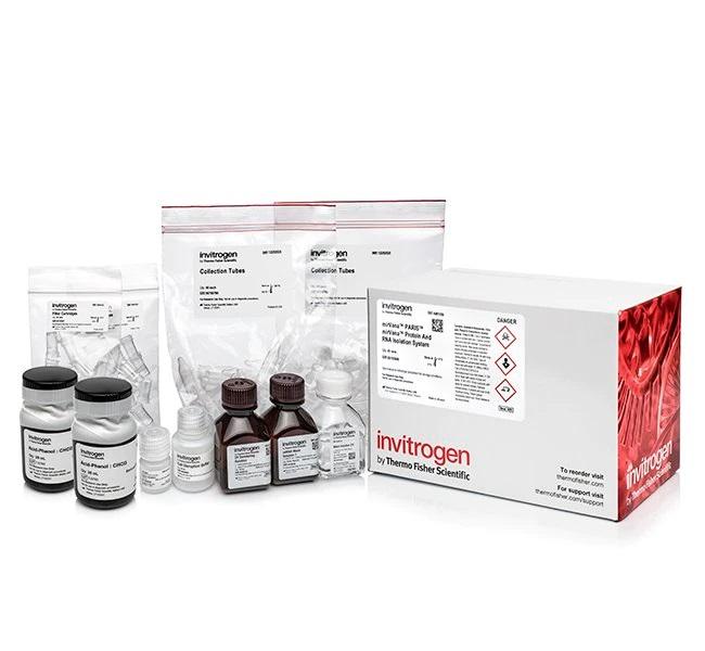 Invitrogen™ mirVana™ PARIS™ RNA and Native Protein Purification Kit