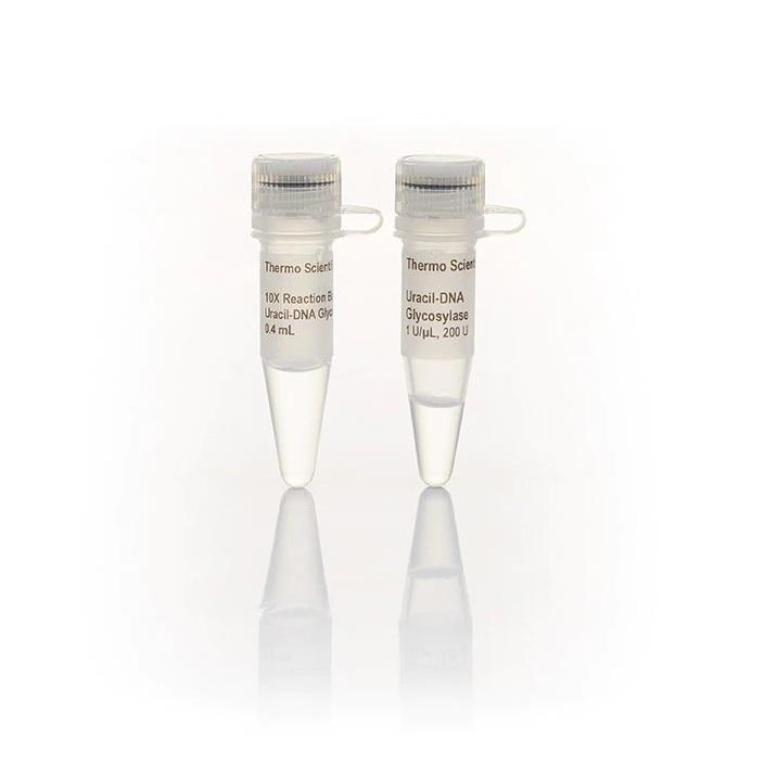 Thermo Scientific™ Uracil-DNA Glycosylase (1 U/µL), 1000 units