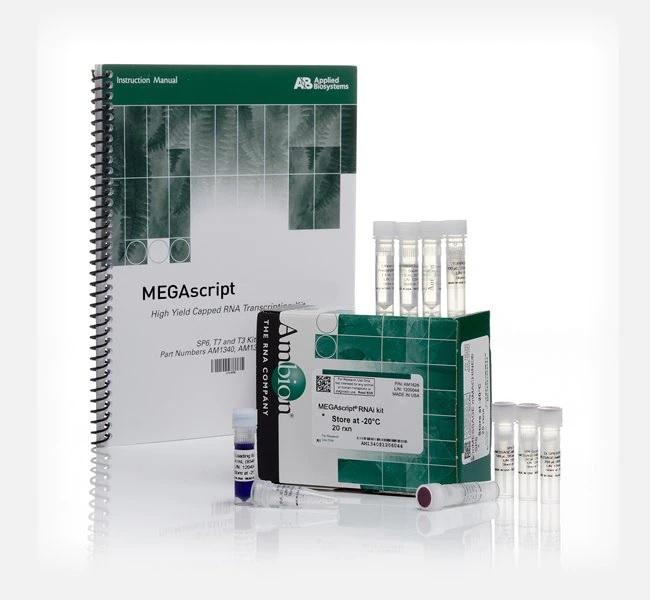 Invitrogen™ MEGAscript™ RNAi Kit