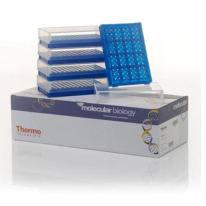 Thermo Scientific™ Preparation Rack, 96-well, with cover