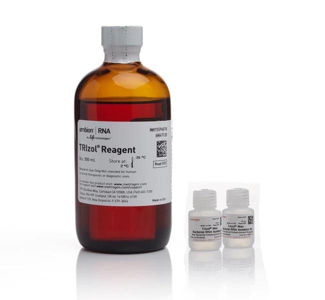 Invitrogen™ TRIzol™ Max™ Bacterial RNA Isolation Kit, 200 Preps
