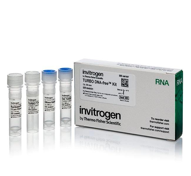Invitrogen™ TURBO DNA-free™ Kit