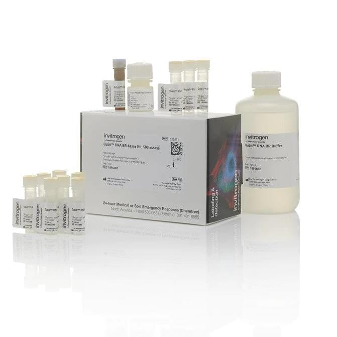 Invitrogen™ Qubit™ RNA BR Assay Kit, 500 Reactions