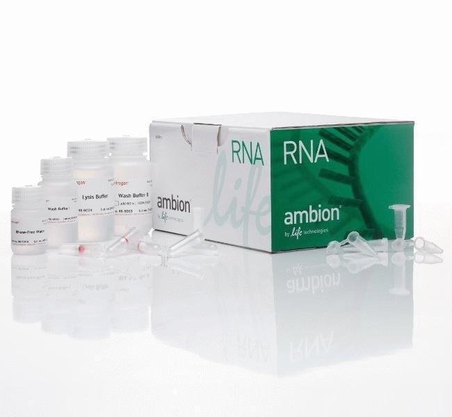 Invitrogen™ PureLink™ RNA Mini Kit 250 Preps