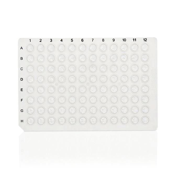 Thermo Scientific™ PCR Plate, 96-well, non-skirted, Black Lettering