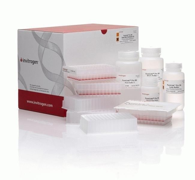 Invitrogen™ PureLink™ Pro 96 Viral RNA/DNA Purification Kit