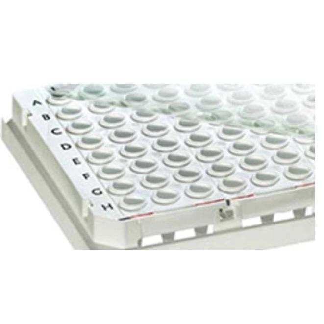 Thermo Scientific™ Optical Adhesive Film, for Piko PCR plates, 400