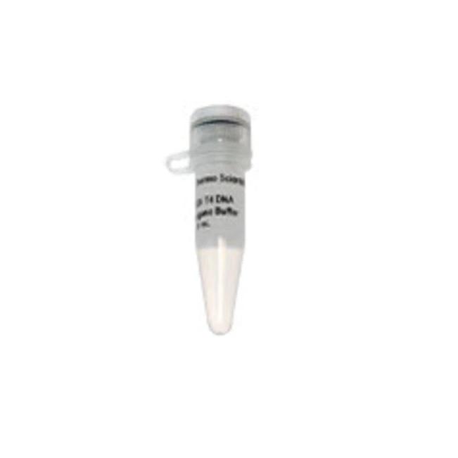 Thermo Scientific™ MgCl2 (magnesium chloride) (25 mM), 4 x 1.25 mL