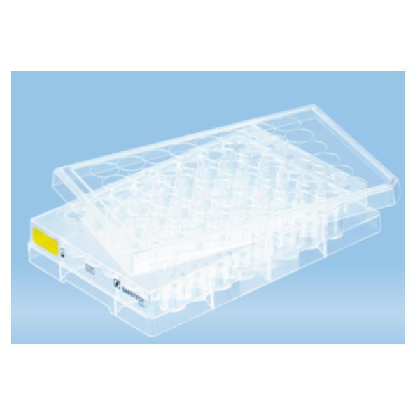 Sarstedt™ Cell Culture Plate, 48 Well, Cell+, Flat Base, Yellow