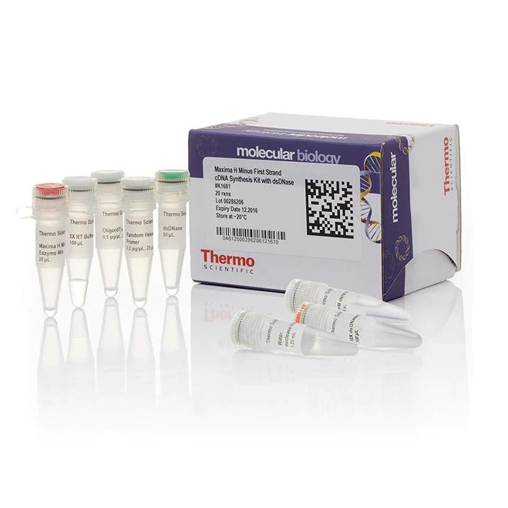 Thermo Scientific™ Maxima H Minus First Strand cDNA Synthesis Kit, with dsDNase, 100
