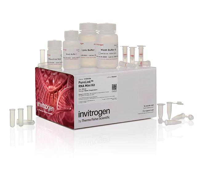 Invitrogen™ PureLink™ RNA Mini Kit, 50 Preps