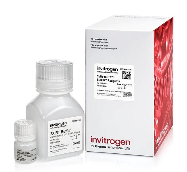 Invitrogen™ Cells-to-CT Bulk RT Reagents Green Features