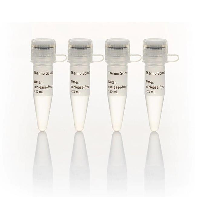 Thermo Scientific™ Water, nuclease-free, 4 x 1.25 mL