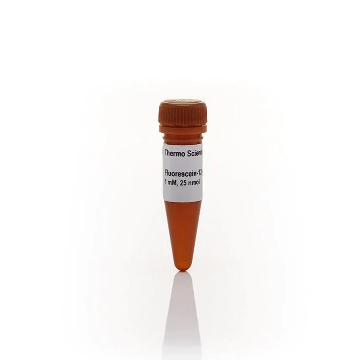 Thermo Scientific™ Fluorescein-12-dUTP Solution (1 mM)