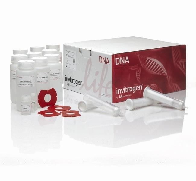 Invitrogen™ PureLink™ HiPure Plasmid Filter Midiprep Kit, 50 Preps