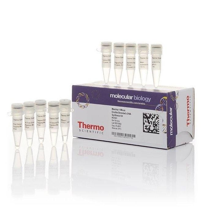 Thermo Scientific™ Maxima H Minus Double-Stranded cDNA Synthesis Kit, 10