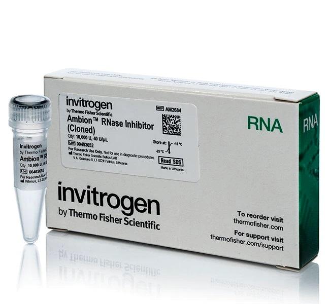 Invitrogen™ Ambion™ RNase Inhibitor, Cloned, 40 U/µL, 10,000 Units