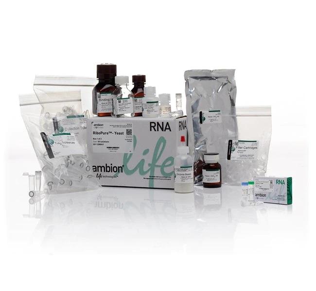 Invitrogen™ RiboPure™ RNA Purification Kit, Yeast