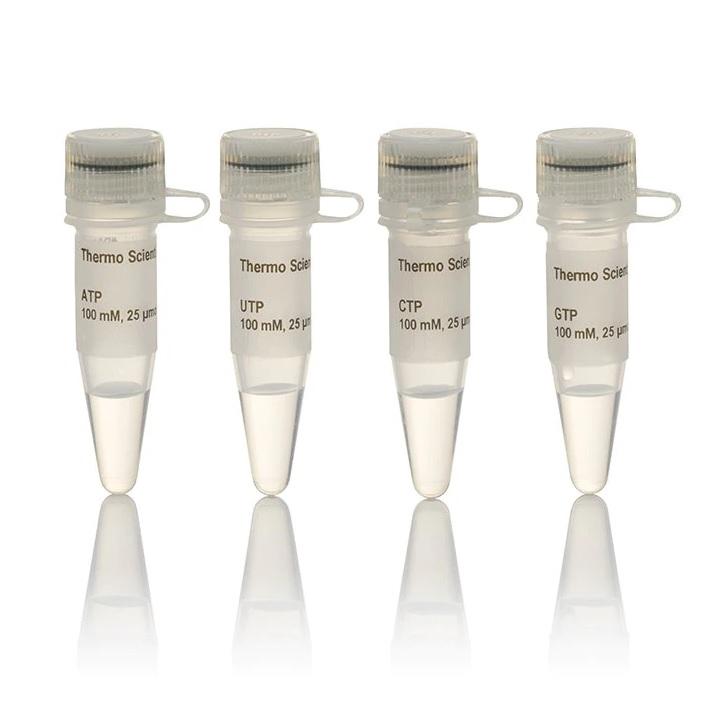 Thermo Scientific™ NTP Set, 100 mM Solution