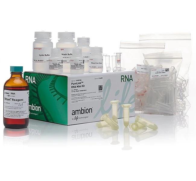 Invitrogen™ TRIzol™ Plus RNA Purification Kit and Phasemaker™ Tubes Complete System