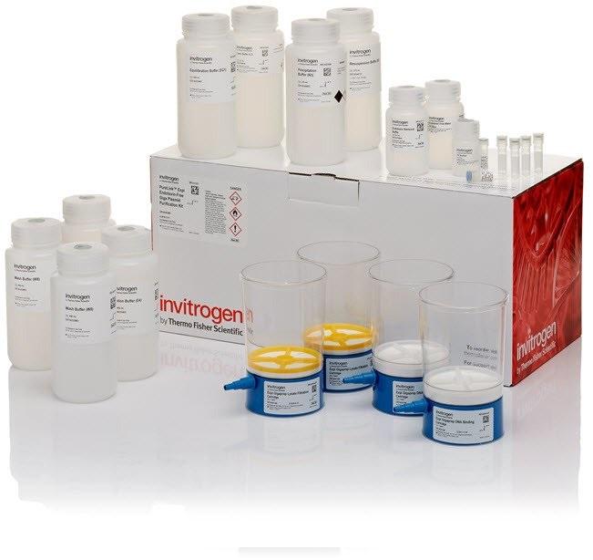 Invitrogen™ PureLink™ Expi Endotoxin-Free Giga Plasmid Purification Kit