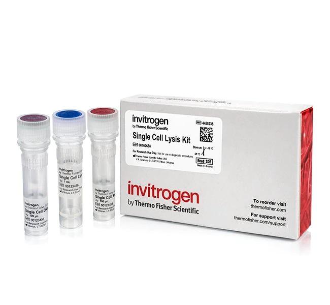 Invitrogen™ Single Cell Lysis Kit Green Features