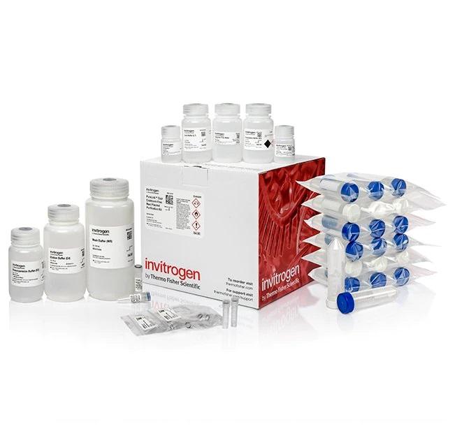 Invitrogen™ PureLink™ Expi Endotoxin-Free Maxi Plasmid Purification Kit, 25 Preps