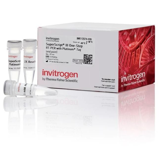 Invitrogen™ SuperScript™ III One-Step RT-PCR System with Platinum™ Taq DNA Polymerase, 25 Reactions