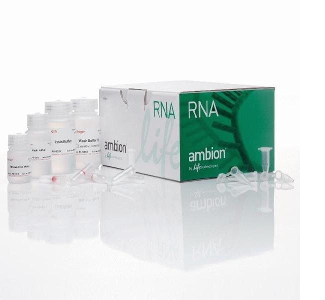 Invitrogen™ PureLink™ RNA Mini Kit 10 Preps