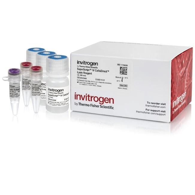 Invitrogen™ SuperScript™ IV CellsDirect™ Lysis Reagents