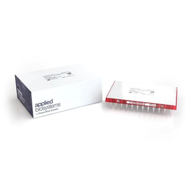Applied Biosystems™ Precision ID IonCode™ Barcode Adapters 1–96 Kit in 96-Well PCR Plate