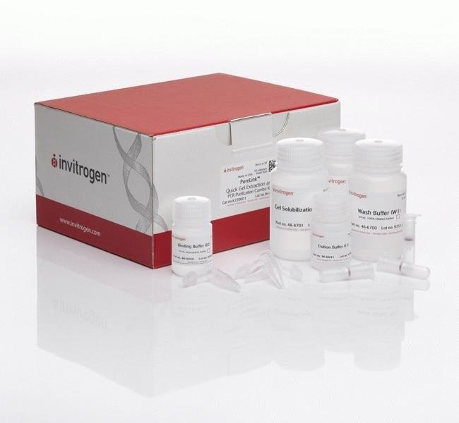 Invitrogen™ PureLink™ Quick Gel Extraction and PCR Purification Combo Kit