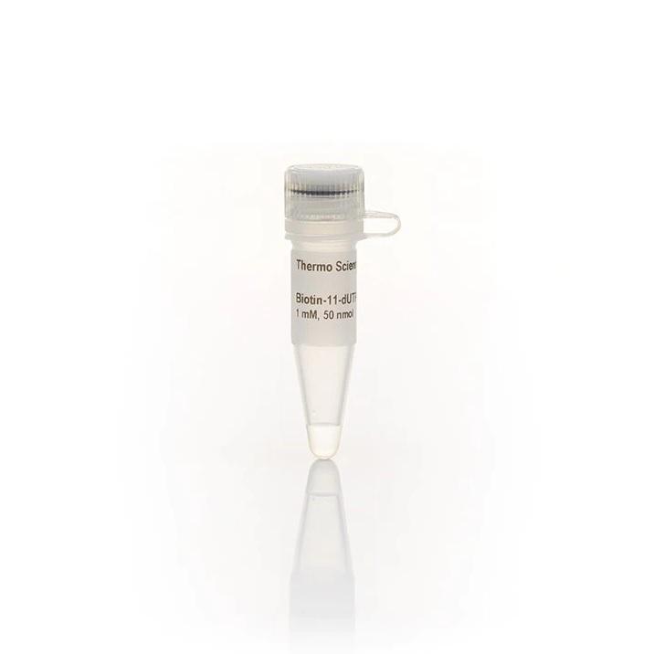 Thermo Scientific™ Biotin-11-dUTP Solution (1 mM)