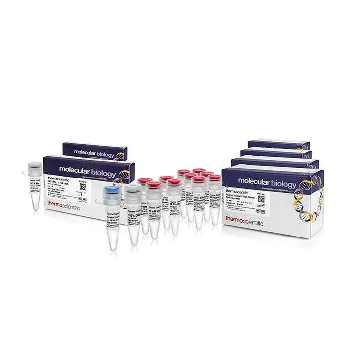 Thermo Scientific™ Phusion™ Hot Start II DNA Polymerase & dNTP Mix (10 mM each)