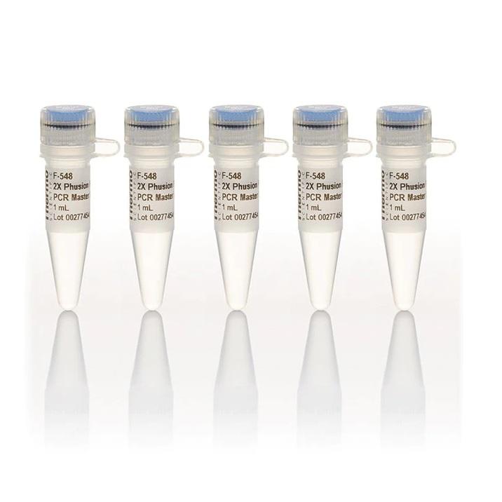 Thermo Scientific™ Phusion Flash High-Fidelity PCR Master Mix, 500