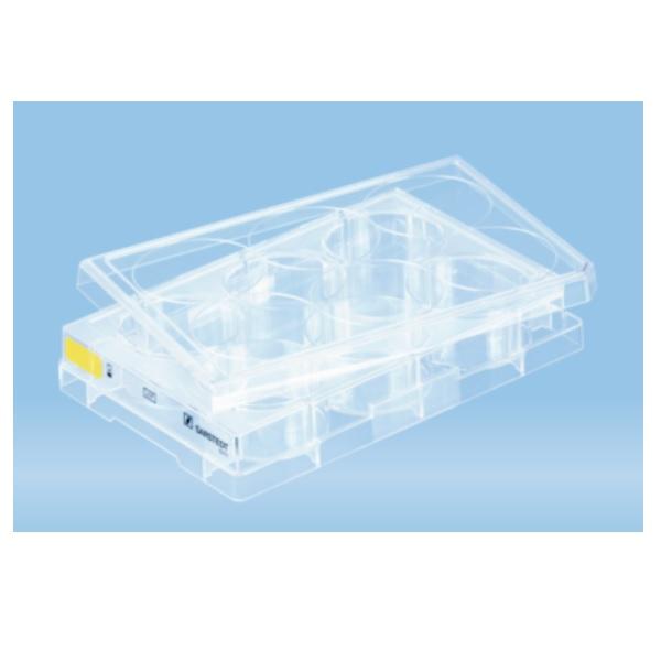 Sarstedt™ Cell Culture Plate, 6 Well, Cell+, Flat Bottom, Yellow