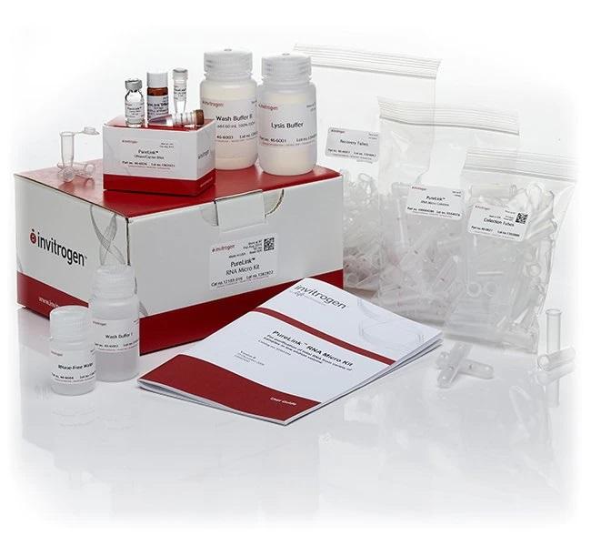 Invitrogen™ PureLink™ RNA Micro Scale Kit