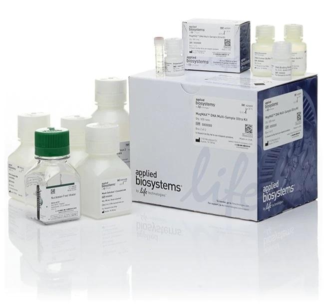 Applied Biosystems™ MagMAX™ DNA Multi-Sample Ultra Kit (with extra proteinase K and DNA binding beads), 2500 Preps