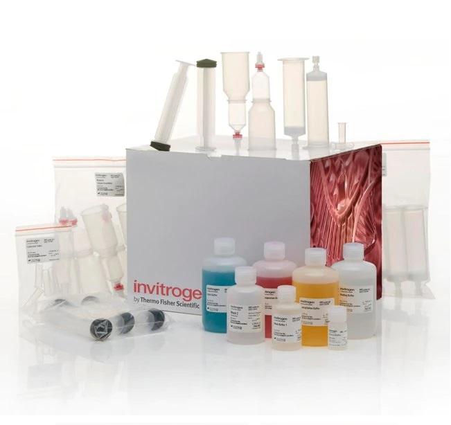 Invitrogen™ PureLink™ Fast Low-Endotoxin Maxi Plasmid Purification Kit, 20 Preps