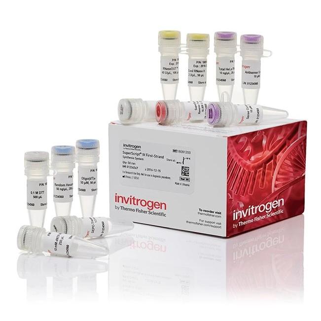 Invitrogen™ SuperScript™ IV First-Strand Synthesis System, 50