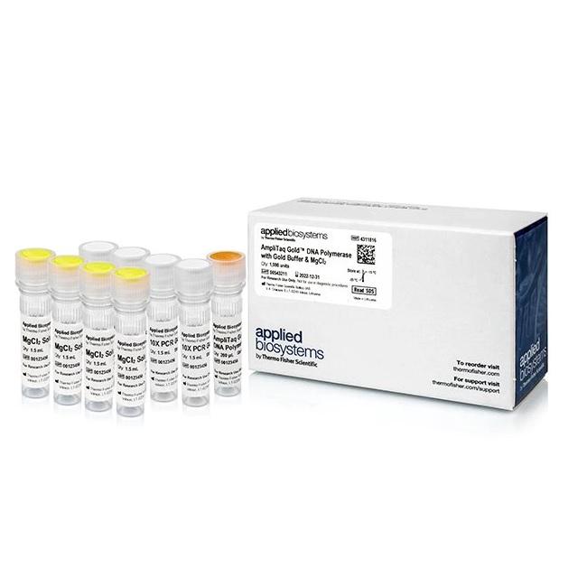 Applied Biosystems™ AmpliTaq Gold™ DNA Polymerase with Gold Buffer and MgCl2, 1000