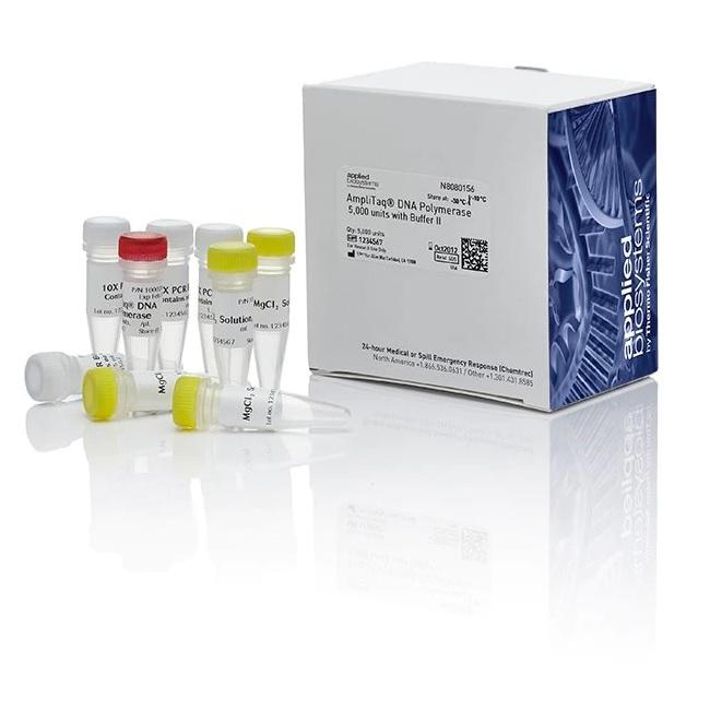 Applied Biosystems™ AmpliTaq™ DNA Polymerase with Buffer II, 1000