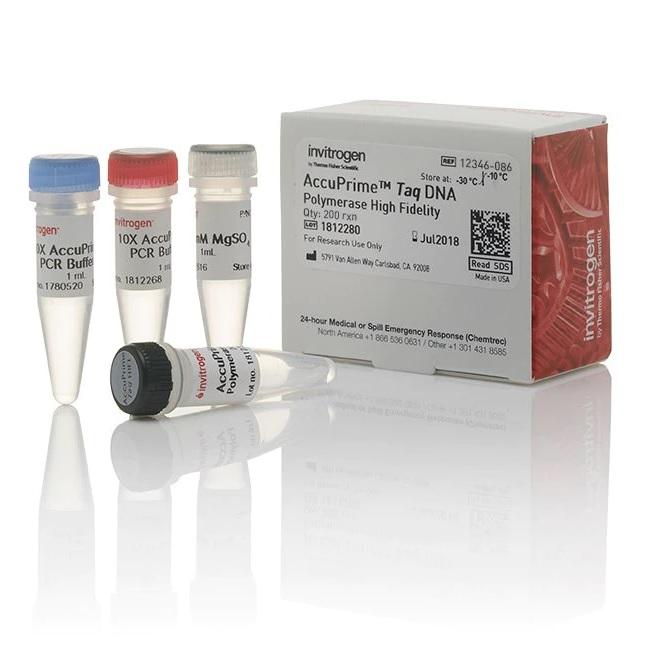Invitrogen™ AccuPrime™ Taq DNA Polymerase, high fidelity, 200