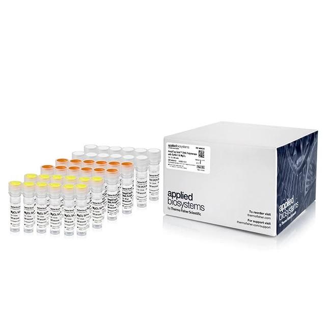 Applied Biosystems™ AmpliTaq Gold™ DNA Polymerase with Buffer II and MgCl2, 3000