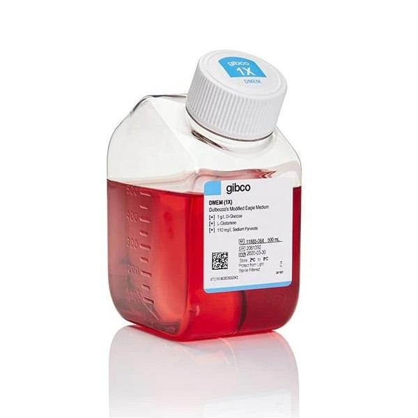 Gibco™ DMEM, Low glucose, Pyruvate, 10 x 500 mL
