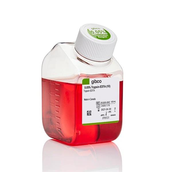 Gibco™ Trypsin-EDTA (0.05%), Phenol Red, 10 x 500 mL
