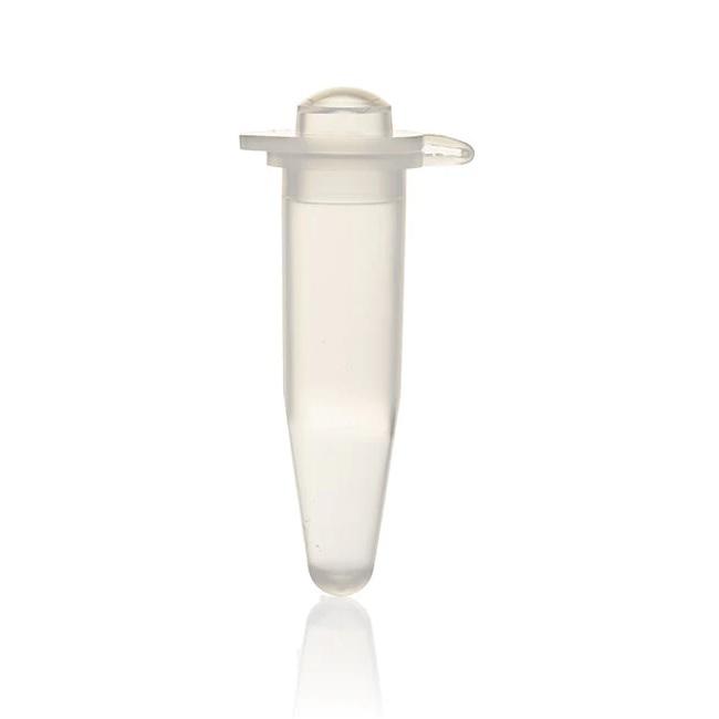 Applied Biosystems™ GeneAmp™ Thin-Walled Reaction Tube, with domed cap, 0.5 mL, autoclaved