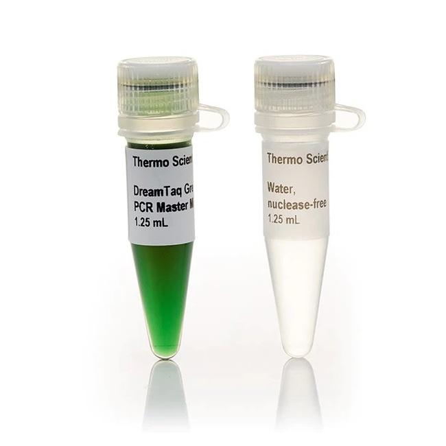 Thermo Scientific™ DreamTaq Green PCR Master Mix (2X), 1000